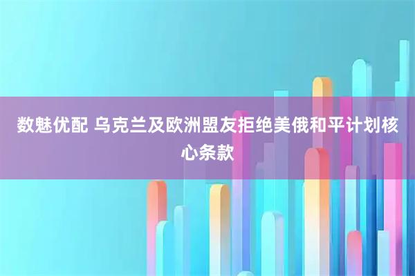 数魅优配 乌克兰及欧洲盟友拒绝美俄和平计划核心条款