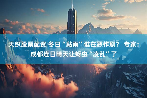 天织股票配资 冬日“黏雨”谁在恶作剧？ 专家：成都连日晴天让蚜虫“凌乱”了
