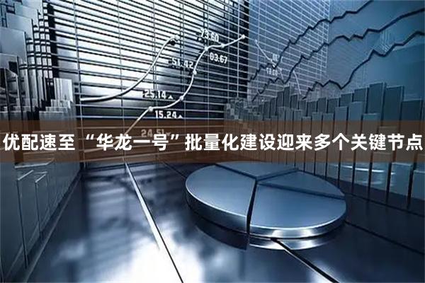 优配速至 “华龙一号”批量化建设迎来多个关键节点